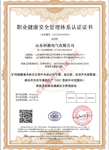 山东科源电气-QES(2)-3